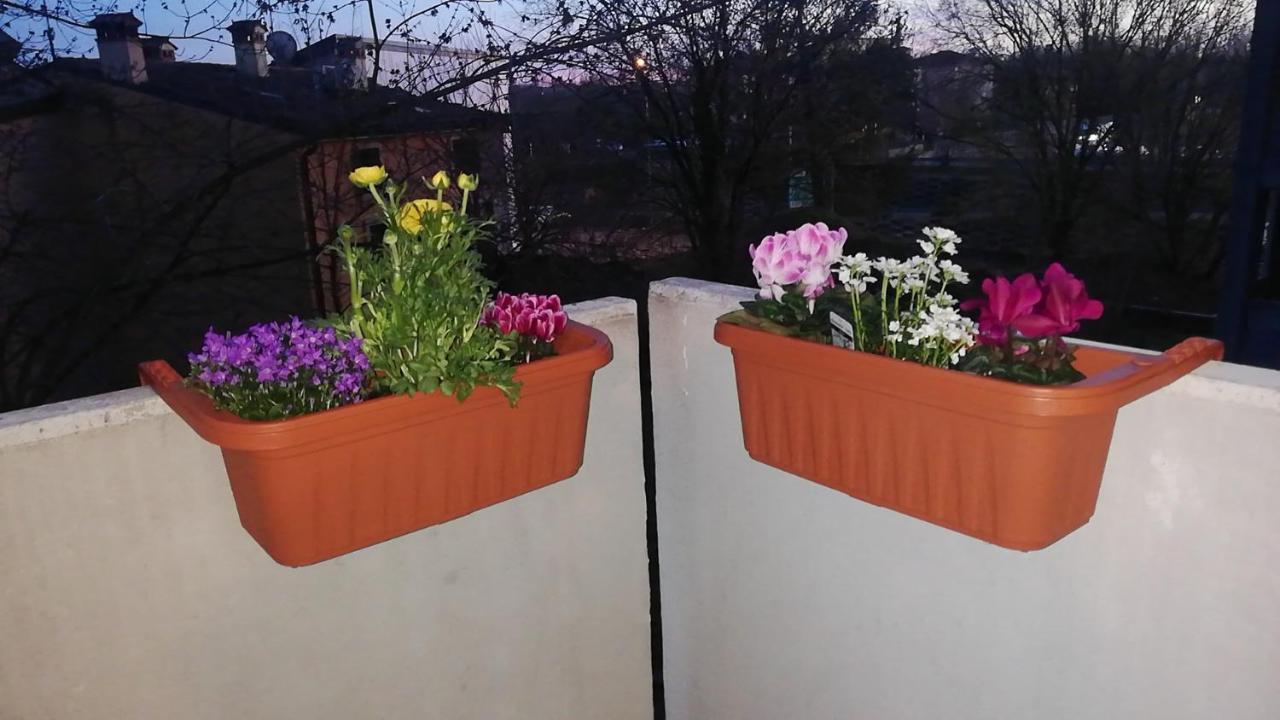 Appartamento Con Due Camere Da Letto E Free Park Verona Buitenkant foto