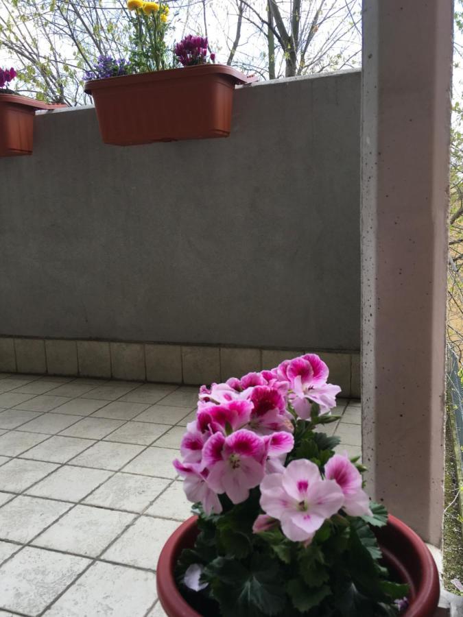 Appartamento Con Due Camere Da Letto E Free Park Verona Buitenkant foto